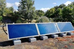 P'tits pats & Cie traiteur eco responsable